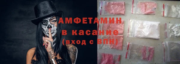 мет Алексин