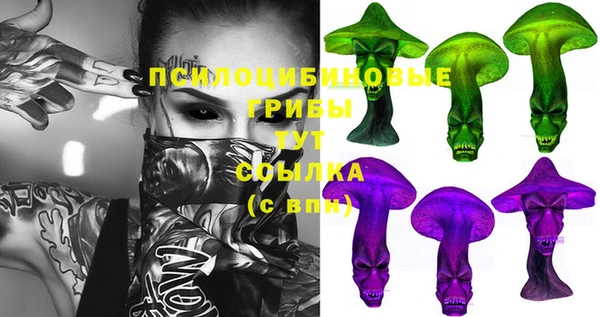 мет Алексин